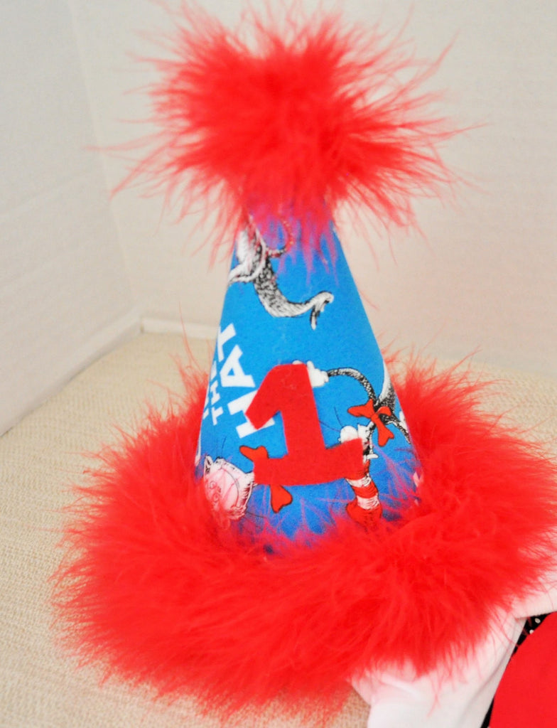 Rylo Dr Seuss party hat, Dr Suess birthday, 1st 2nd 3rd birthday, Dr Seuss hat, cat in the hat party hat, cat in the hat birthday party hat