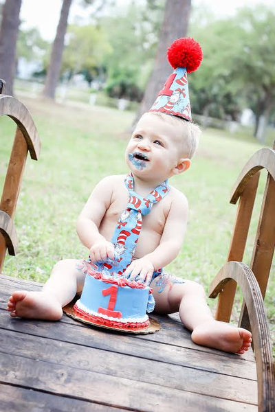 Dr Seuss cake smah outfit, bithday outfit, Cat in the Hat birthday outfit, 1st 2nd 3rd birthday, Boys cake smash outfit, Banner